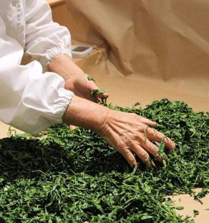 一位厨师正在捡一堆蔬菜