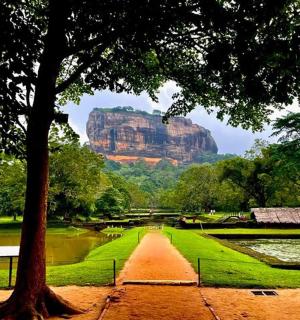 pohled na horu v dálce se stromem