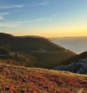 a group of people standing on a hill overlooking the ocean