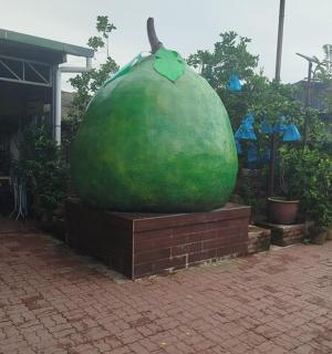 nainen kävelee suuren vesimelonipatsaan ohi