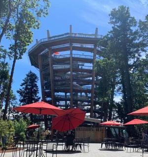 一座有桌子和红色遮阳伞的大楼