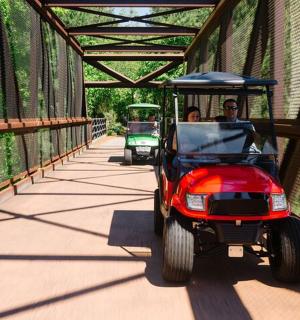 dva lidé v golfovém vozíku na mostě