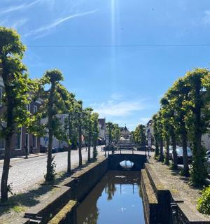 街道中间有一条运河，周围有树木