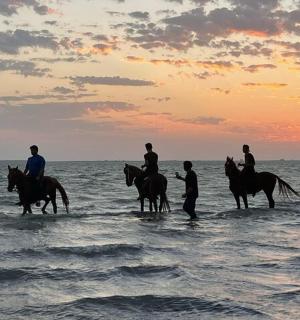 a group of people riding horses in the ocean