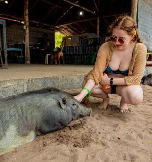 a woman petting a pig in the sand