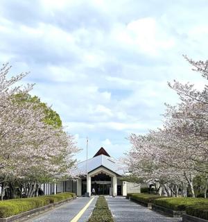 a building with flowering trees in front of a street