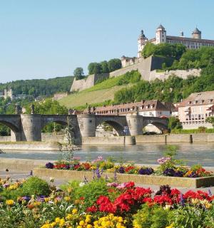 a bunch of flowers in front of a river with a mountain
