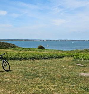 a bike parked on the grass near the water