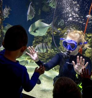 un grup de persones observant una noia en un aquari
