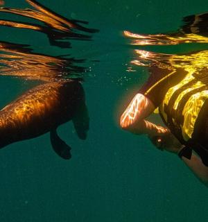 two people are swimming in the water