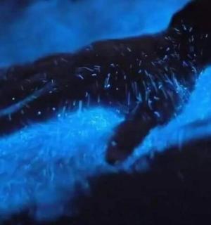 a pair of hands on top of a blue object