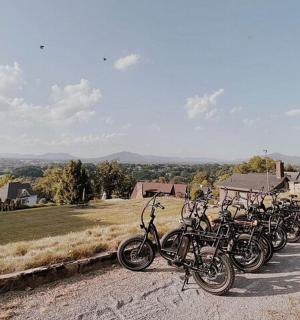 a row of motorcycles parked on the side of a road