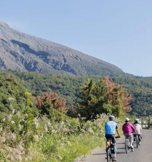 一群人骑着自行车沿着道路行驶