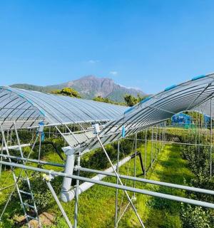an overhead view of a greenhouse with a roof