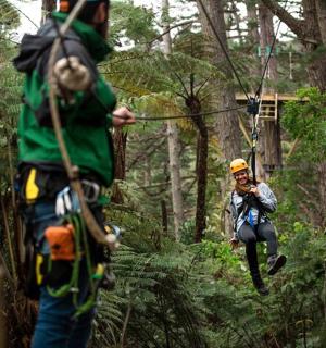一名男子在森林里玩滑索