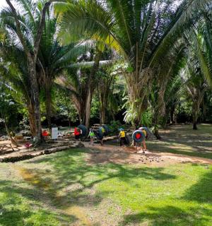 a group of people standing in a park with palm trees