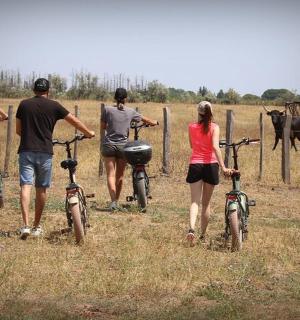 一群人在田野里推着自行车