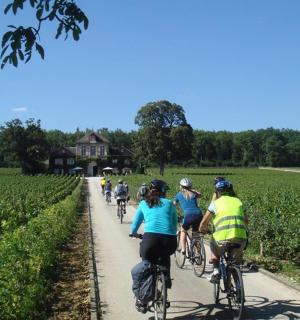 skupina lidí jedoucích na kolech po cestě v poli