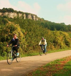 skupina lidí jedoucích na kolech po silnici