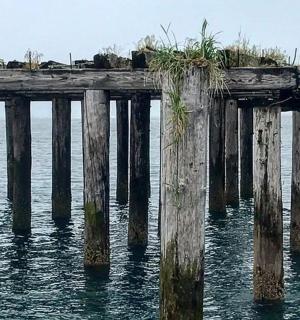 staré molo ve vodě s