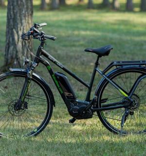 一辆自行车停在树旁的草地上