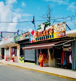 ulice s obchody podél silnice