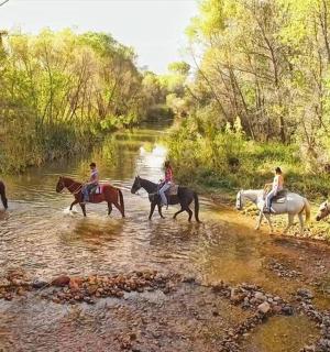 一群人骑马过河