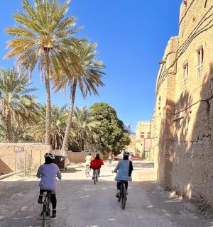 一群人骑着自行车在街上