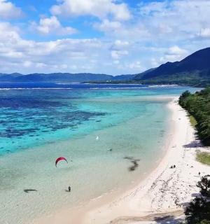 a beach with a person parasailing in the water