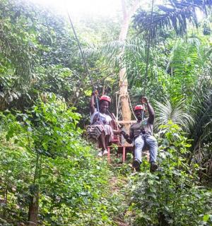a group of people riding on a train in the jungle