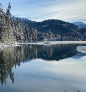 výhled na jezero se stromy a horami