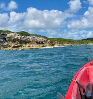 岛屿旁边水中的一艘红船