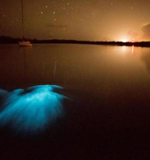 夜间水中的蓝光