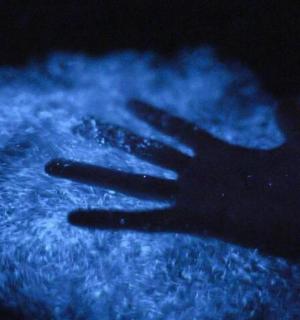 a silhouette of a persons hand on a blue substance
