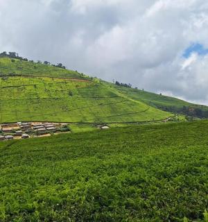 一座长满草的小山，山上有绿色的田野和云彩