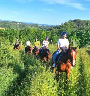 一群人骑马穿过田野