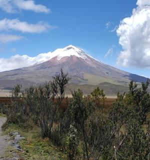 a snow capped mountain in the distance with a dirt road