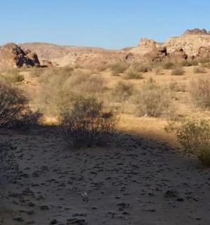 pouštní pole s keři a kameny v dálce