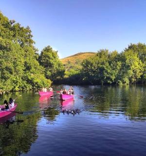 a group of people in pink boats on a river
