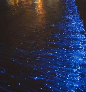 Un grupo de luces azules en el agua por la noche.