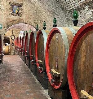 地窖里一排木制酒桶