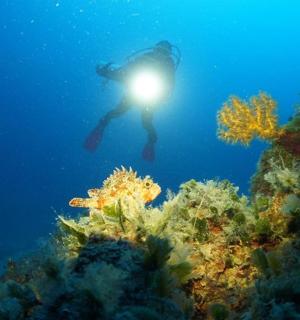 水中的人，在礁石上点着灯