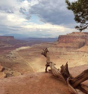 a person standing on the edge of the grand canyon