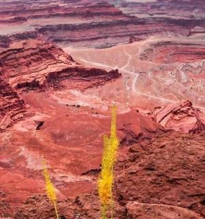 an aerial view of the grand canyon from above
