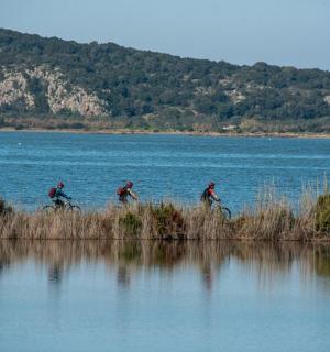 一群人在水中骑自行车