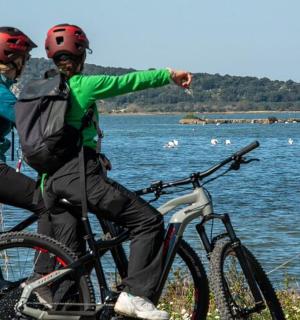 两个人在水边骑自行车