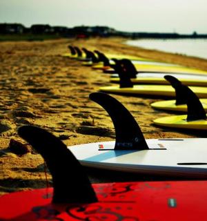 řada surfových prken seřazených na pláži