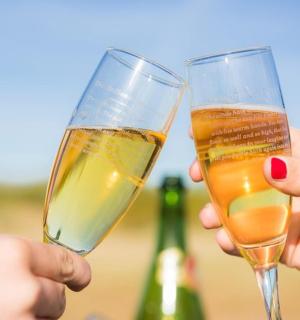 两个人举着香槟酒杯
