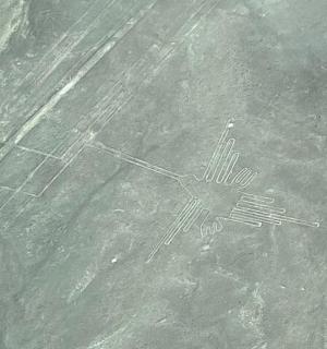 地上的叉子插图