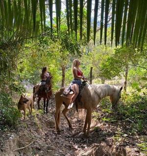 dua orang menunggang kuda di dalam hutan dengan seekor anjing